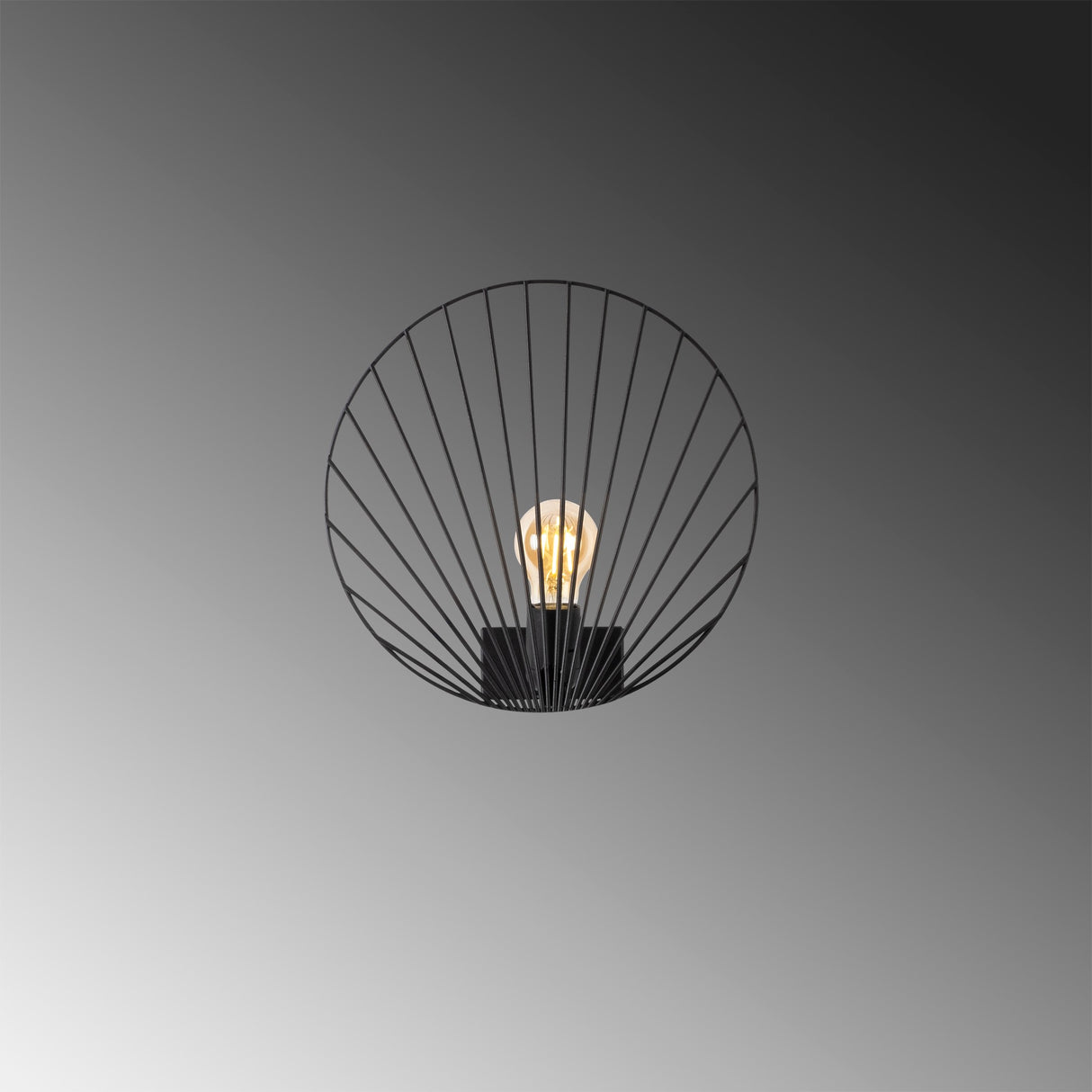 Wandlampen - Wandlamp Zwart Metaal Arbor - Dimehouse