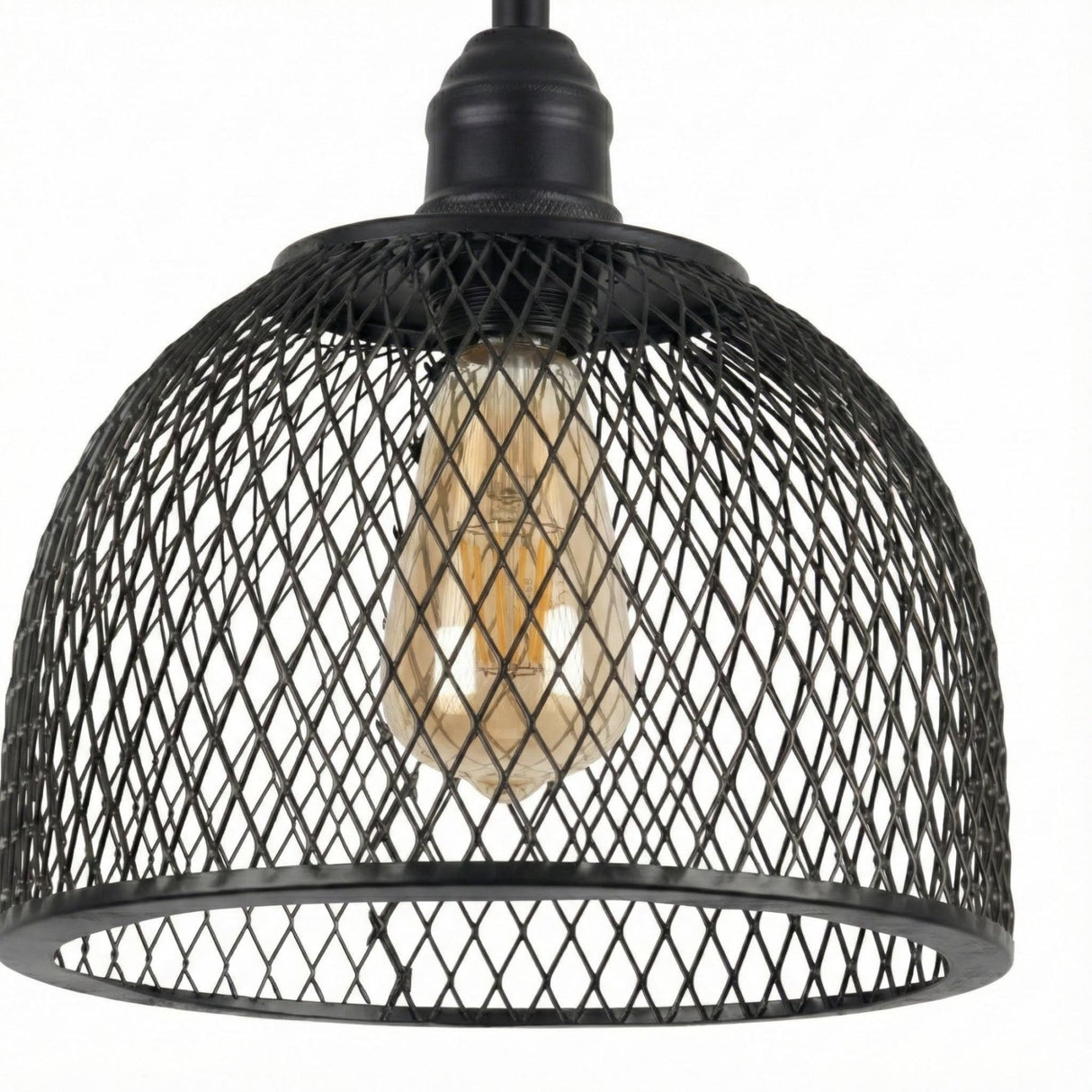 Birke – 16400 – 7 – Eine schwarze Metallkappe