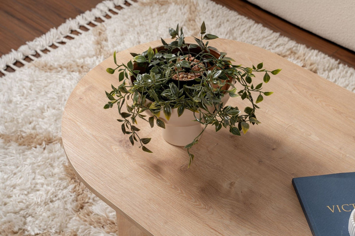 Salontafels - Ovale salontafel eiken melamine - Japandi - 119x60 cm - Sota - Dimehouse