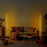 Vloerlampen - Vloerlamp Zwart Metaal Sylvan - Dimehouse