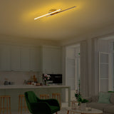 Plafondlampen - Plafondlamp Goud Metaal Hawk - Dimehouse