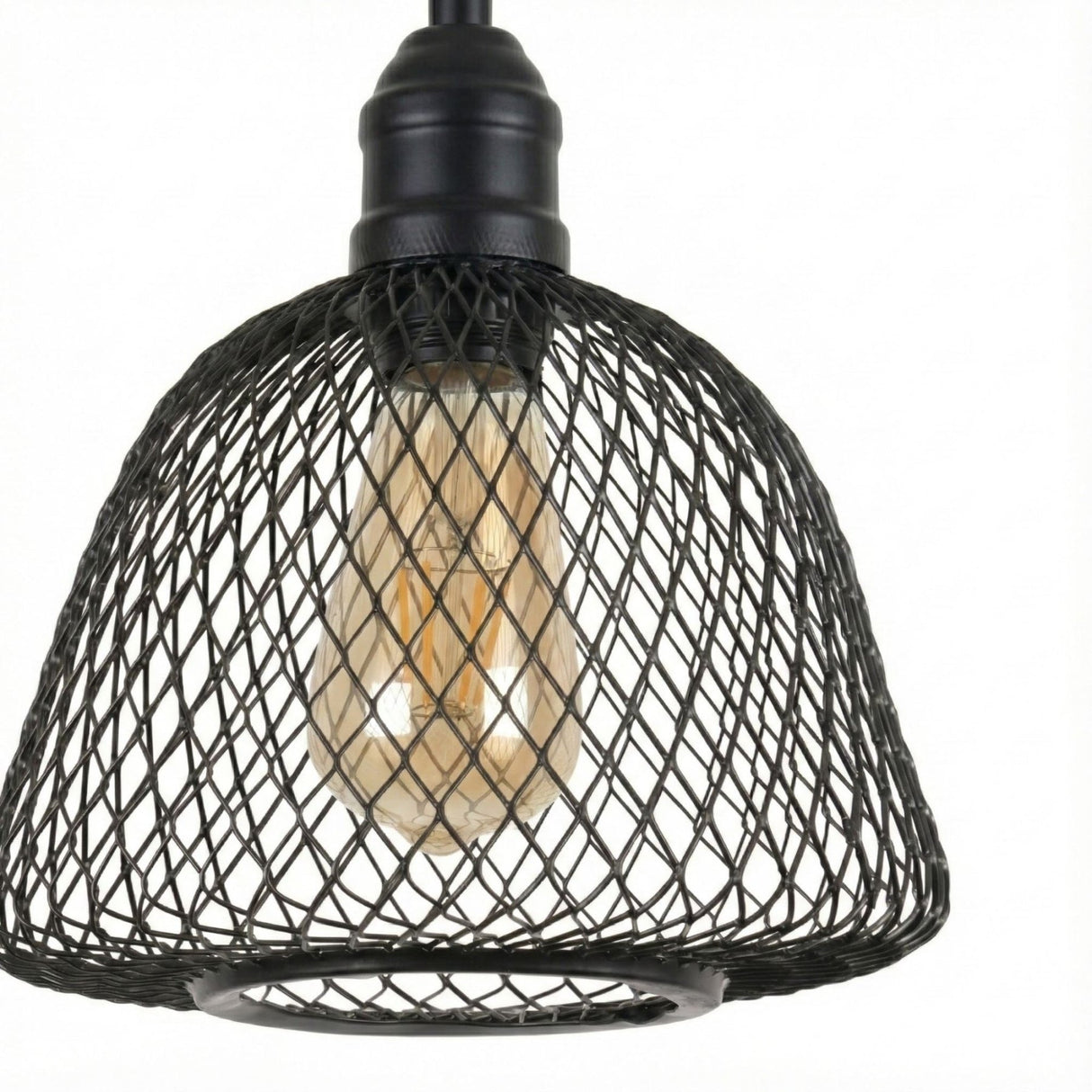 Birke – 16400 – 3 – Eine schwarze Metallkappe