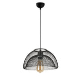 Birke – 16400 – 8 – Eine schwarze Metallkappe