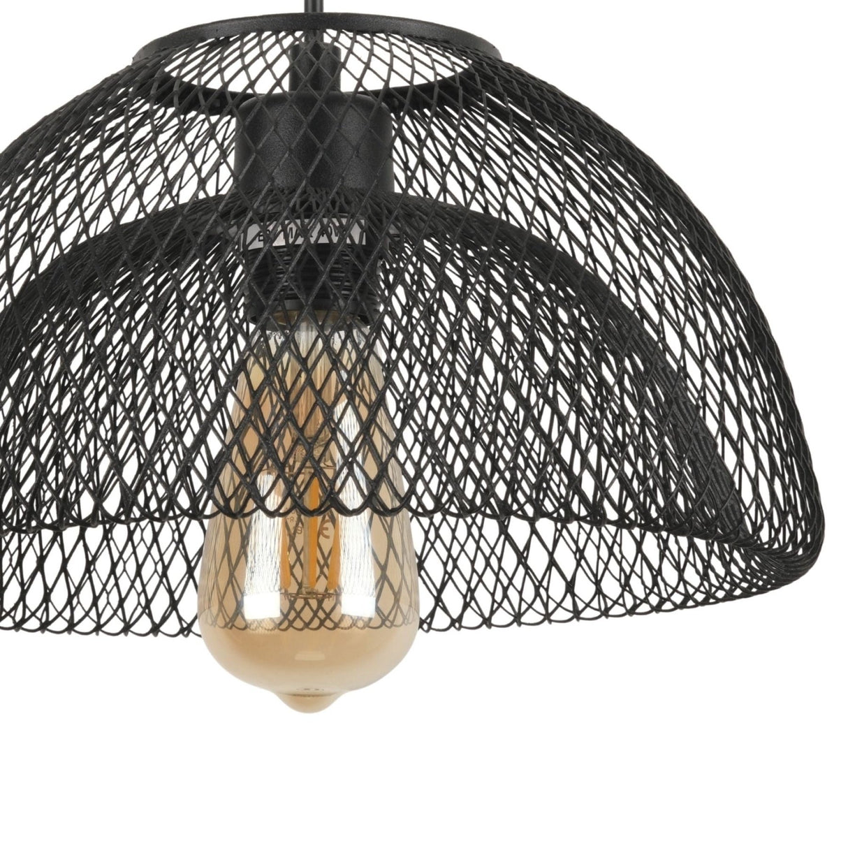 Birke – 16400 – 8 – Eine schwarze Metallkappe