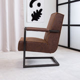 Sessel Tiger Dimehouse Braun LxBxH 69x58x41 Öko-Leder Stimmungsvolle Foto-Seitenansicht